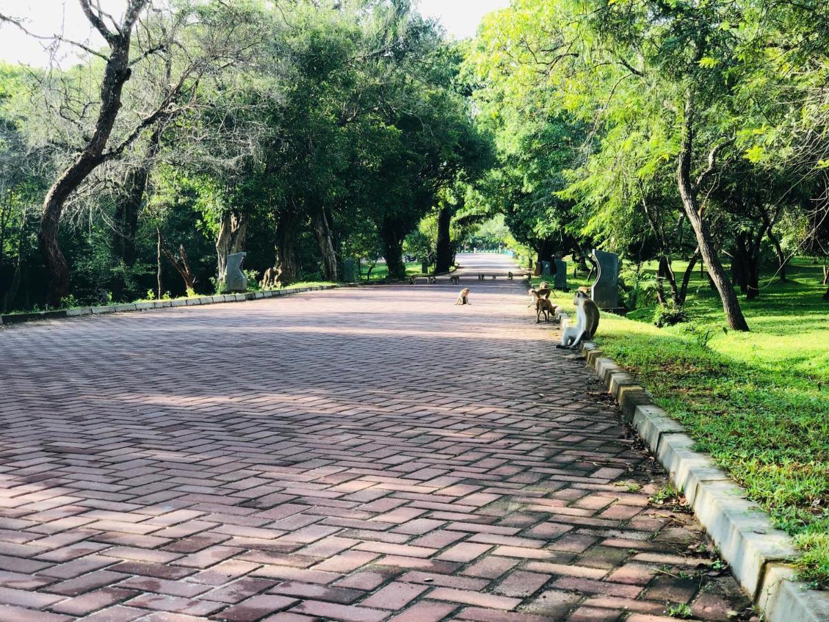 Kumari Guest House 波隆纳鲁沃 外观 照片